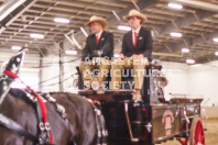 Pete's Equine Photography from the Ancaster Fair - Driving Draft Horses and Hitches in action.