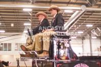 Pete's Equine Photography from the Ancaster Fair - Driving Draft Horses and Hitches in action.