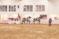 Pete's Equine Photography from the Ancaster Fair - Driving Draft Horses and Hitches in action.