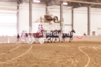 Pete's Equine Photography from the Ancaster Fair - Driving Draft Horses and Hitches in action.