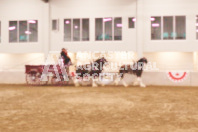 Pete's Equine Photography from the Ancaster Fair - Driving Draft Horses and Hitches in action.