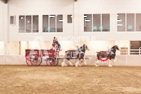 Pete's Equine Photography from the Ancaster Fair - Driving Draft Horses and Hitches in action.