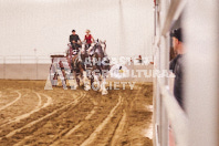 Pete's Equine Photography from the Ancaster Fair - Driving Draft Horses and Hitches in action.