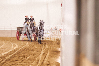 Pete's Equine Photography from the Ancaster Fair - Driving Draft Horses and Hitches in action.