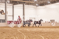 Pete's Equine Photography from the Ancaster Fair - Driving Draft Horses and Hitches in action.