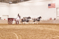 Pete's Equine Photography from the Ancaster Fair - Driving Draft Horses and Hitches in action.