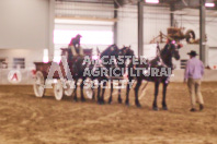 Pete's Equine Photography from the Ancaster Fair - Driving Draft Horses and Hitches in action.