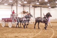 Pete's Equine Photography from the Ancaster Fair - Driving Draft Horses and Hitches in action.