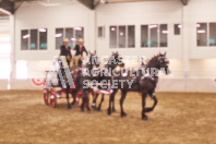 Pete's Equine Photography from the Ancaster Fair - Driving Draft Horses and Hitches in action.