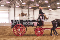 Pete's Equine Photography from the Ancaster Fair - Driving Draft Horses and Hitches in action.