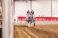 Pete's Equine Photography from the Ancaster Fair - Driving Draft Horses and Hitches in action.