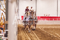 Pete's Equine Photography from the Ancaster Fair - Driving Draft Horses and Hitches in action.