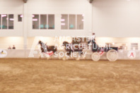 Pete's Equine Photography from the Ancaster Fair - Driving Draft Horses and Hitches in action.