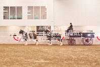 Pete's Equine Photography from the Ancaster Fair - Driving Draft Horses and Hitches in action.