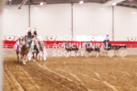 Pete's Equine Photography from the Ancaster Fair - Driving Draft Horses and Hitches in action.