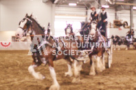 Pete's Equine Photography from the Ancaster Fair - Driving Draft Horses and Hitches in action.