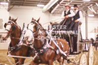 Pete's Equine Photography from the Ancaster Fair - Driving Draft Horses and Hitches in action.