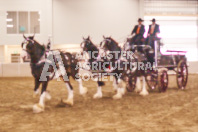 Pete's Equine Photography from the Ancaster Fair - Driving Draft Horses and Hitches in action.