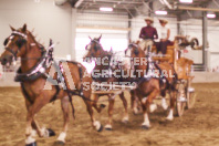 Pete's Equine Photography from the Ancaster Fair - Driving Draft Horses and Hitches in action.