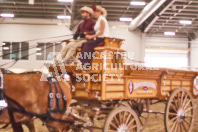 Pete's Equine Photography from the Ancaster Fair - Driving Draft Horses and Hitches in action.