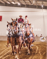 Pete's Equine Photography from the Ancaster Fair - Driving Draft Horses and Hitches in action.