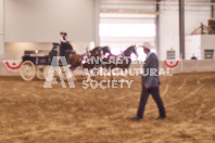 Pete's Equine Photography from the Ancaster Fair - Driving Draft Horses and Hitches in action.