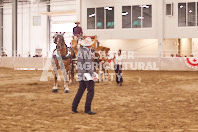 Pete's Equine Photography from the Ancaster Fair - Driving Draft Horses and Hitches in action.