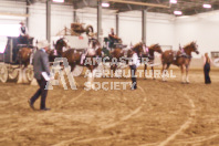 Pete's Equine Photography from the Ancaster Fair - Driving Draft Horses and Hitches in action.