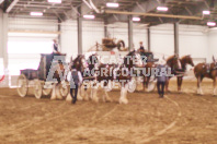 Pete's Equine Photography from the Ancaster Fair - Driving Draft Horses and Hitches in action.