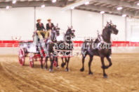 Pete's Equine Photography from the Ancaster Fair - Driving Draft Horses and Hitches in action.