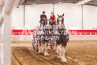 Pete's Equine Photography from the Ancaster Fair - Driving Draft Horses and Hitches in action.