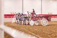 Pete's Equine Photography from the Ancaster Fair - Driving Draft Horses and Hitches in action.