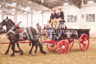 Pete's Equine Photography from the Ancaster Fair - Driving Draft Horses and Hitches in action.