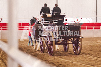 Pete's Equine Photography from the Ancaster Fair - Driving Draft Horses and Hitches in action.