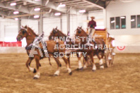 Pete's Equine Photography from the Ancaster Fair - Driving Draft Horses and Hitches in action.