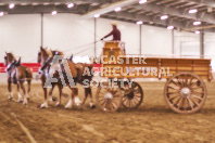 Pete's Equine Photography from the Ancaster Fair - Driving Draft Horses and Hitches in action.