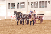 Pete's Equine Photography from the Ancaster Fair - Driving Draft Horses and Hitches in action.