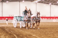 Pete's Equine Photography from the Ancaster Fair - Driving Draft Horses and Hitches in action.