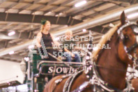 Pete's Equine Photography from the Ancaster Fair - Driving Draft Horses and Hitches in action.