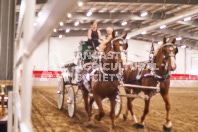 Pete's Equine Photography from the Ancaster Fair - Driving Draft Horses and Hitches in action.