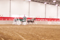 Pete's Equine Photography from the Ancaster Fair - Driving Draft Horses and Hitches in action.