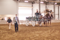 Pete's Equine Photography from the Ancaster Fair - Driving Draft Horses and Hitches in action.