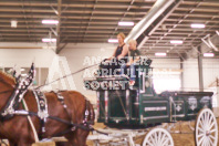 Pete's Equine Photography from the Ancaster Fair - Driving Draft Horses and Hitches in action.