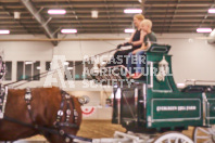 Pete's Equine Photography from the Ancaster Fair - Driving Draft Horses and Hitches in action.