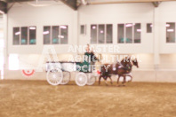 Pete's Equine Photography from the Ancaster Fair - Driving Draft Horses and Hitches in action.