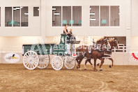 Pete's Equine Photography from the Ancaster Fair - Driving Draft Horses and Hitches in action.