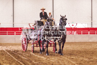 Pete's Equine Photography from the Ancaster Fair - Driving Draft Horses and Hitches in action.