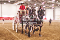 Pete's Equine Photography from the Ancaster Fair - Driving Draft Horses and Hitches in action.