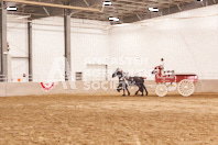 Pete's Equine Photography from the Ancaster Fair - Driving Draft Horses and Hitches in action.