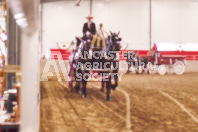 Pete's Equine Photography from the Ancaster Fair - Driving Draft Horses and Hitches in action.